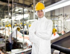 Food Manufacturing Activity in U.S. Metro Areas Food Manufacturing Activity in U.S. Metro Areas