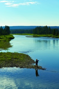 A fly fisherman put his skills to work at Yellowstone National Park. Wyoming offers boundless fishing, hunting and outdoor recreation opportunities. Photo: Wyoming Business Council